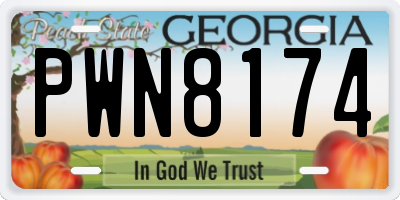 GA license plate PWN8174