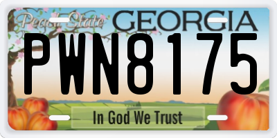 GA license plate PWN8175