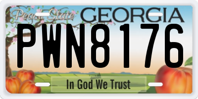 GA license plate PWN8176