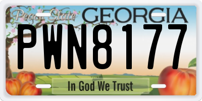 GA license plate PWN8177