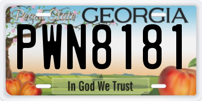 GA license plate PWN8181