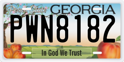 GA license plate PWN8182