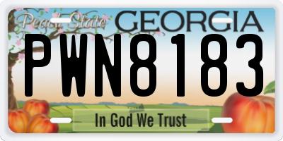 GA license plate PWN8183