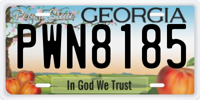 GA license plate PWN8185