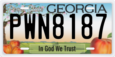 GA license plate PWN8187