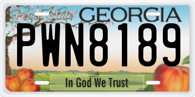GA license plate PWN8189