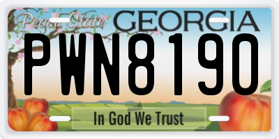 GA license plate PWN8190