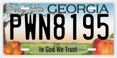 GA license plate PWN8195