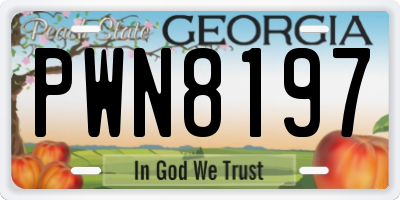 GA license plate PWN8197
