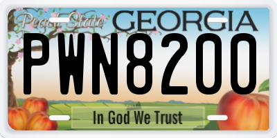 GA license plate PWN8200