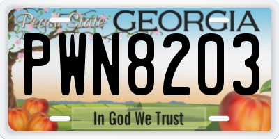 GA license plate PWN8203