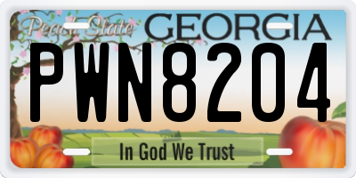 GA license plate PWN8204