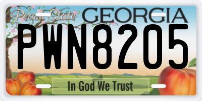 GA license plate PWN8205