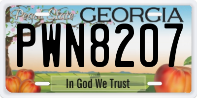 GA license plate PWN8207