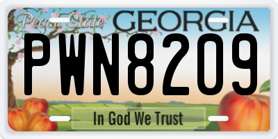 GA license plate PWN8209