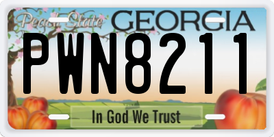 GA license plate PWN8211