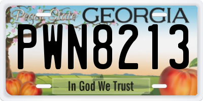 GA license plate PWN8213