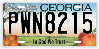 GA license plate PWN8215