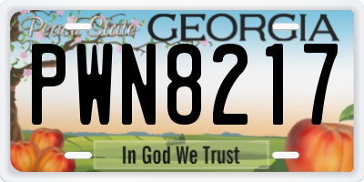 GA license plate PWN8217