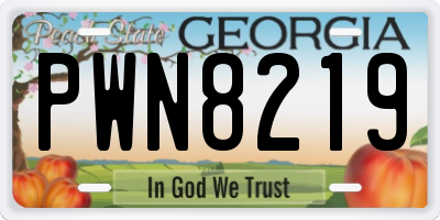 GA license plate PWN8219