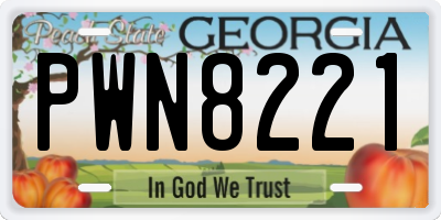 GA license plate PWN8221