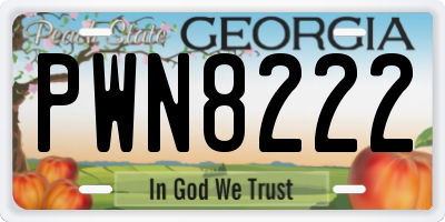 GA license plate PWN8222