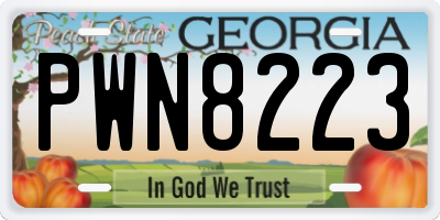 GA license plate PWN8223