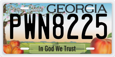 GA license plate PWN8225