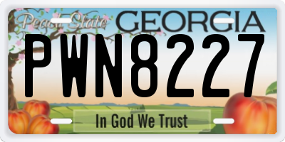 GA license plate PWN8227