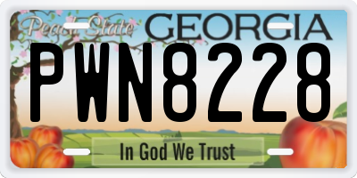 GA license plate PWN8228