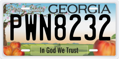 GA license plate PWN8232