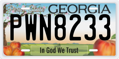 GA license plate PWN8233