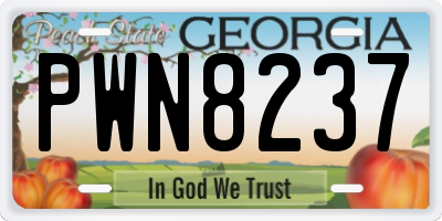GA license plate PWN8237