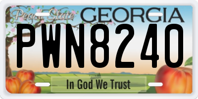 GA license plate PWN8240