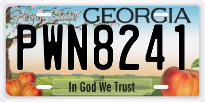 GA license plate PWN8241