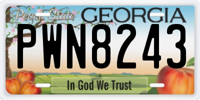 GA license plate PWN8243