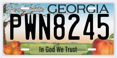 GA license plate PWN8245