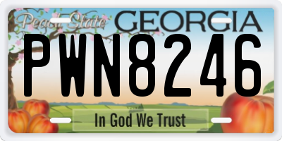 GA license plate PWN8246