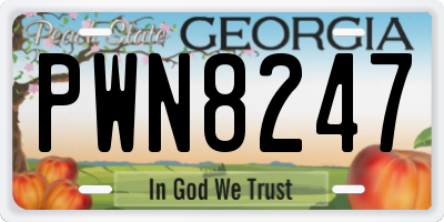 GA license plate PWN8247