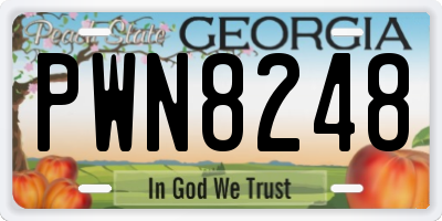 GA license plate PWN8248