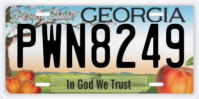 GA license plate PWN8249
