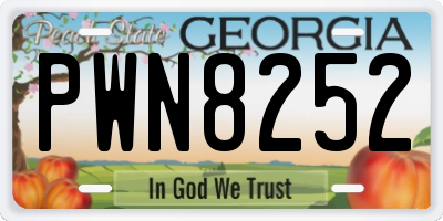 GA license plate PWN8252