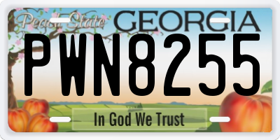 GA license plate PWN8255
