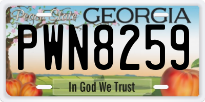 GA license plate PWN8259