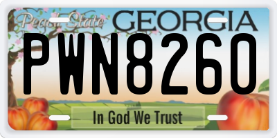 GA license plate PWN8260