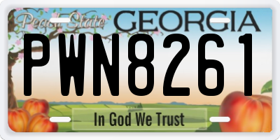 GA license plate PWN8261