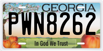 GA license plate PWN8262