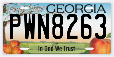 GA license plate PWN8263