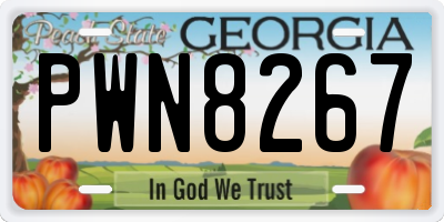 GA license plate PWN8267