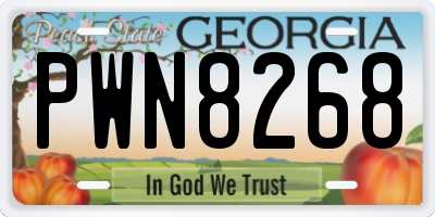 GA license plate PWN8268